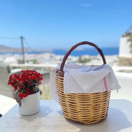 The View Of Mykonos 아파트 Mykonos Town