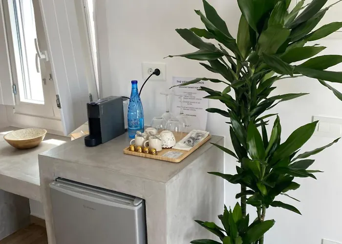 The View Of Mykonos Apartment