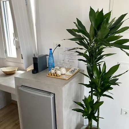 The View Of Mykonos Appartement