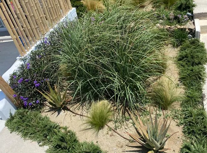 דירה The View Of Mykonos *